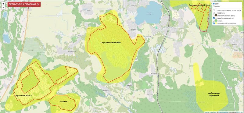 Файл:Torfyaniki sosnovka.jpg