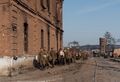 Улица Госпитальная. Слева современный дом 1/3 улица Буденного. Справа территория, которая до 2009 года была занята корпусами завода имени Коминтерна. Колонна пленных красноармейцев. Кадр немецкой кинохроники. Июль-август 1941 год