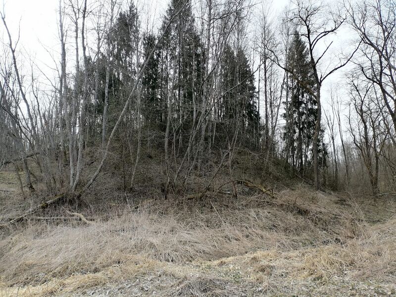 Файл:Zajcevo-Yanovichi-2025.jpg