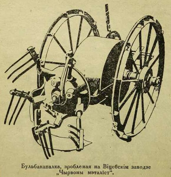Файл:Bulbakapalka 1932.jpg